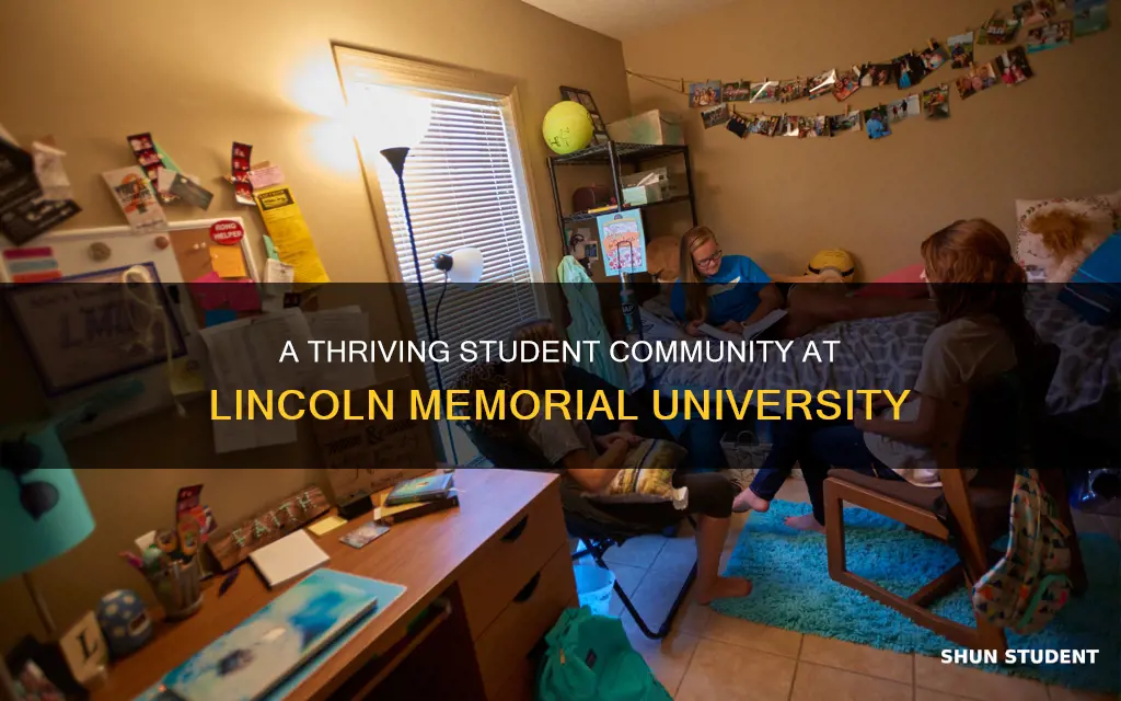 how many students at lincoln memorial university