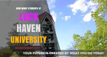 Unlocking the Numbers: A Look at Lock Haven University's Student Body