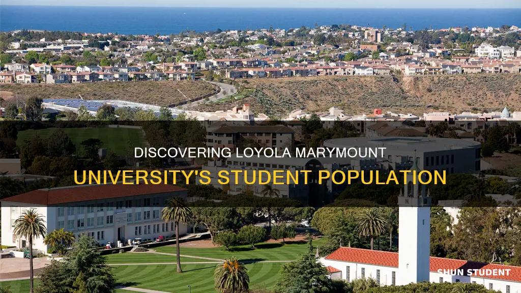 how many students at loyola marymount university