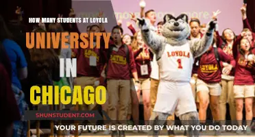 Loyola University Chicago: Student Population Insights
