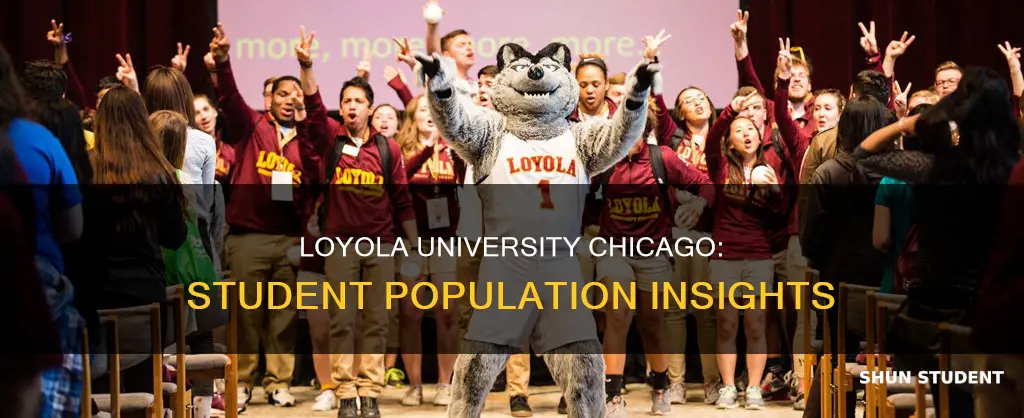 how many students at loyola university in chicago
