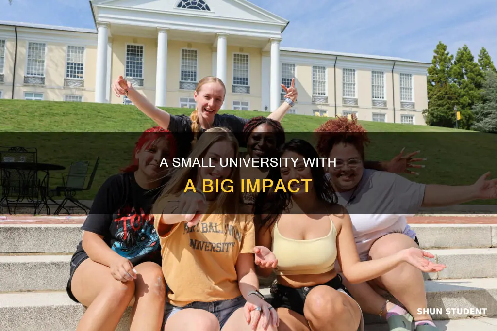 how many students at mary baldwin university