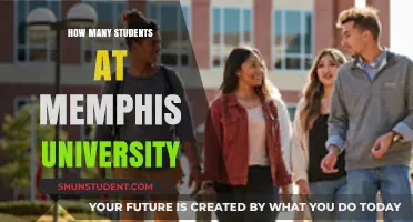 Memphis University Student Population: A Comprehensive Overview