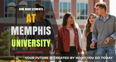 Exploring Memphis University: Student Population and More