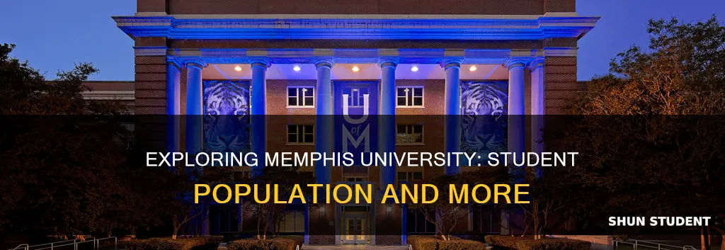 how many students at memphis university