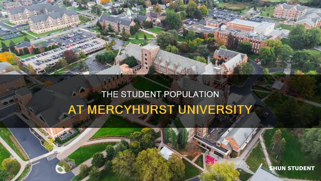how many students at mercyhurst university