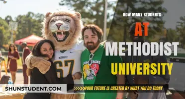 Exploring Methodist University's Student Population