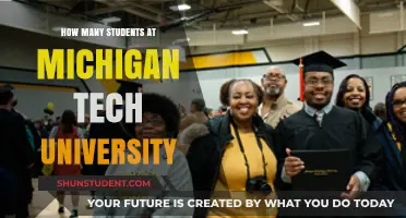 Unveiling the Student Population: Michigan Tech's Enrolment Mystery