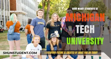 Michigan Tech University: Student Population Insights