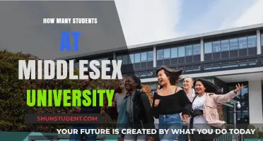 Middlesex University: Student Population Insights