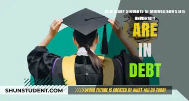 Midwestern State University Debt: A Comprehensive Student Financial Overview