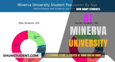Minerva University: A Student-Centric Community