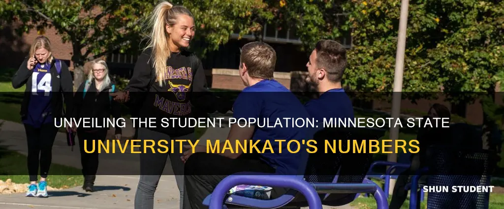 how many students at minnesota state university mankato