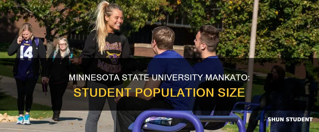how many students at minnesota state university mankato