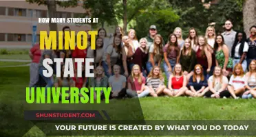 Minot State University: Unveiling Student Population Insights