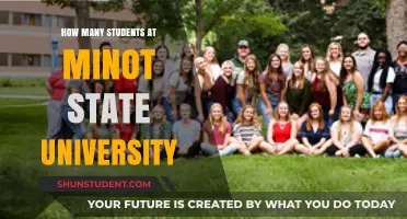 Minot State University: Student Population and You