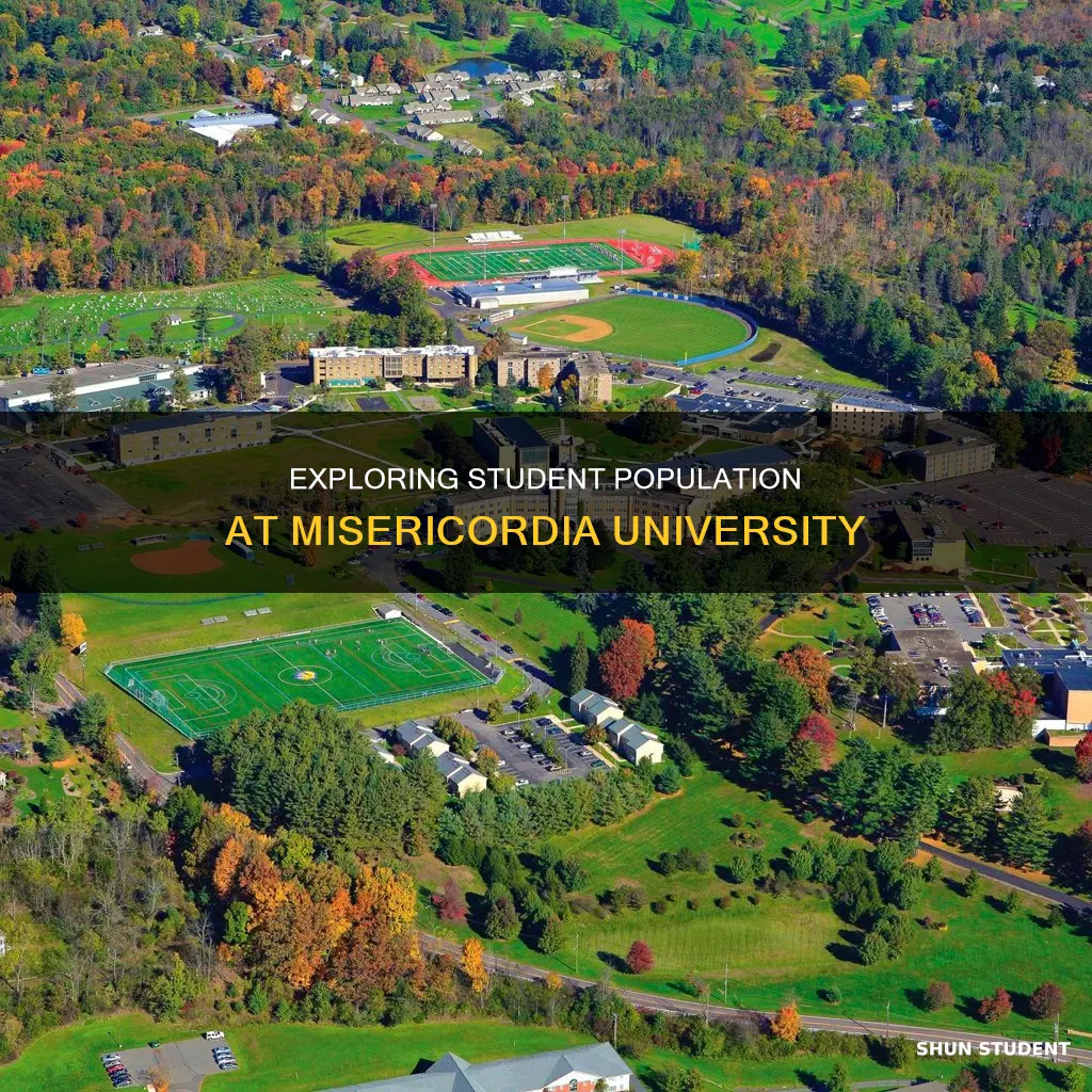how many students at misericordia university