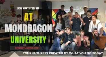 Exploring Mondragon University's Student Population: A Comprehensive Overview