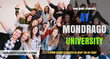 Discover Mondragon University's Student Population