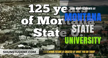 Students at Montana State University: A Thriving Population