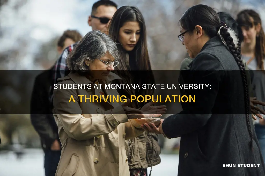 how many students at montana state university