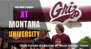 Unveiling Montana University's Student Population: A Comprehensive Overview