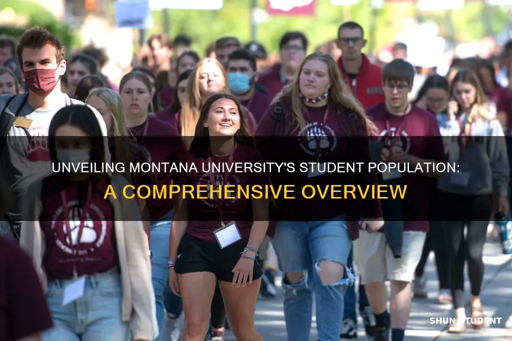 how many students at montana university