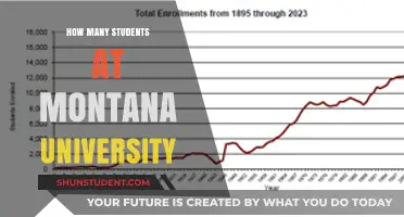 Montana University Student Population: How Many?