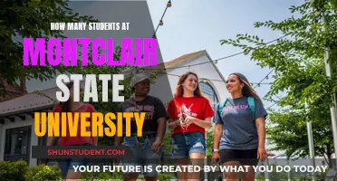 Exploring Montclair State University's Student Population