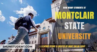 Exploring Montclair State University's Student Population