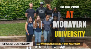 Unveiling the Student Population: A Look at Moravian University's Diversity