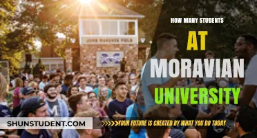 Discover Moravian University's Student Population