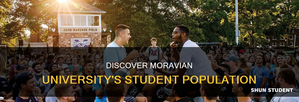 how many students at moravian university
