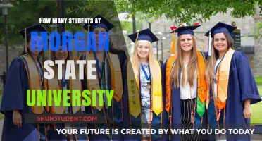 Morgan State University: Student Population Insights