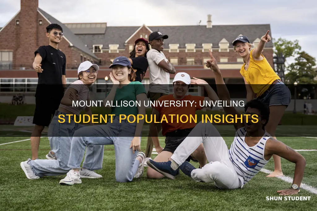 how many students at mount allison university