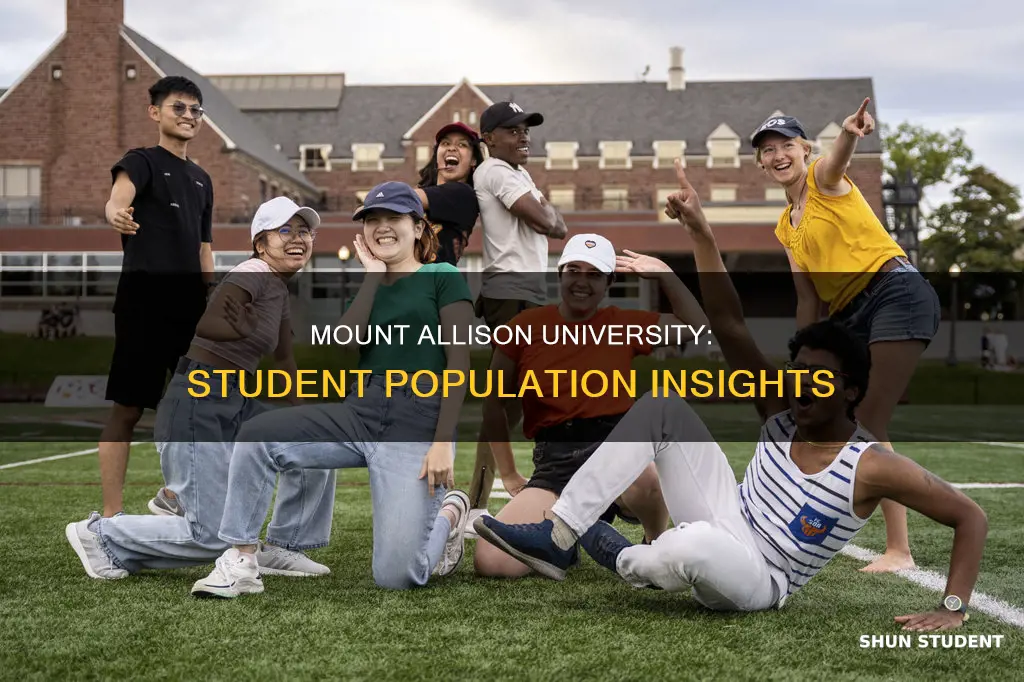 how many students at mount allison university