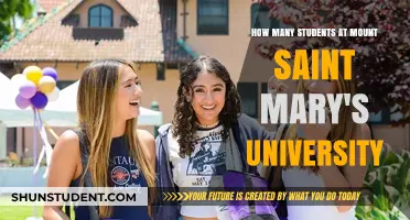 Mount Saint Mary's University: Unveiling Student Population Insights