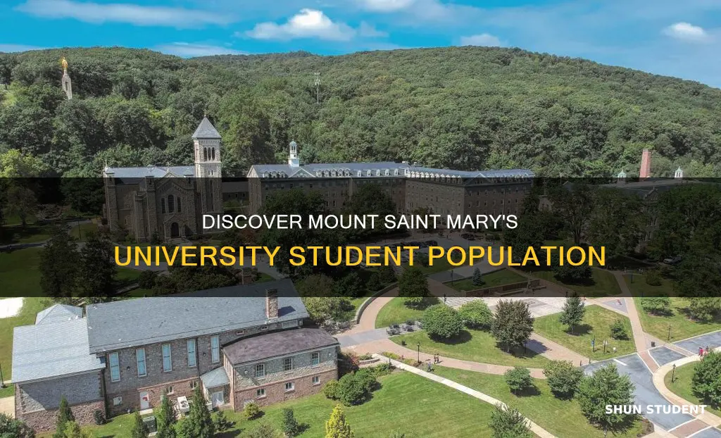 how many students at mount saint mary
