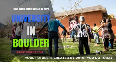 Naropa University's Student Population: A Boulder College Overview