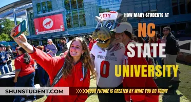 NC State University: Unveiling the Student Population