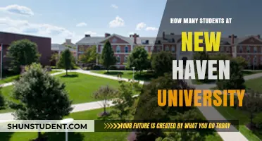 New Haven University's Student Population: A Comprehensive Overview