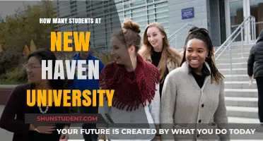 University Student Population: New Haven's Numbers