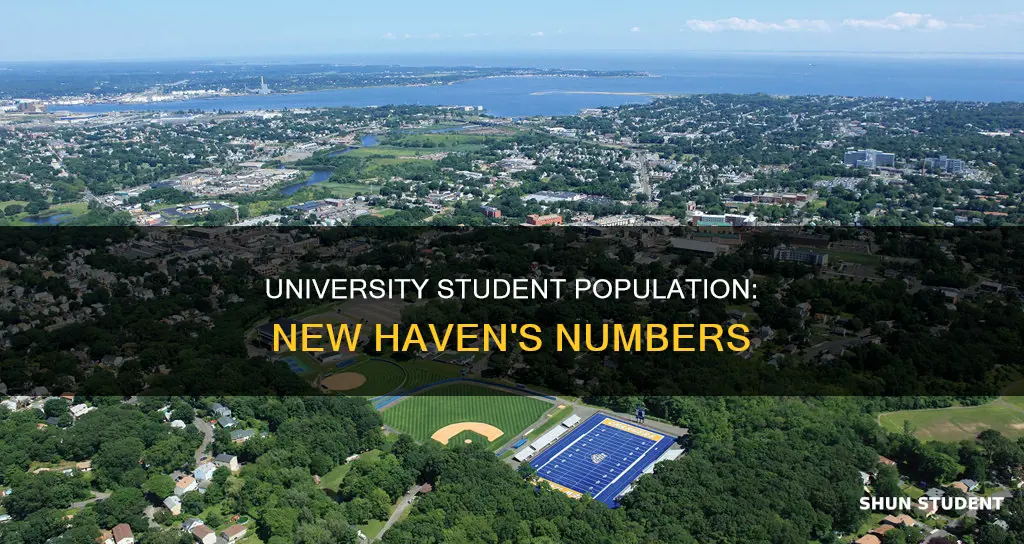 how many students at new haven university