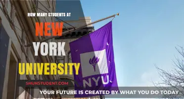 Exploring the Student Population: A Look at NYU's Diverse Community