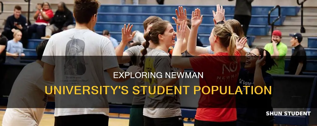 how many students at newman university