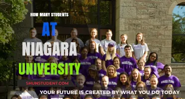 Niagara University Student Population: A Comprehensive Overview