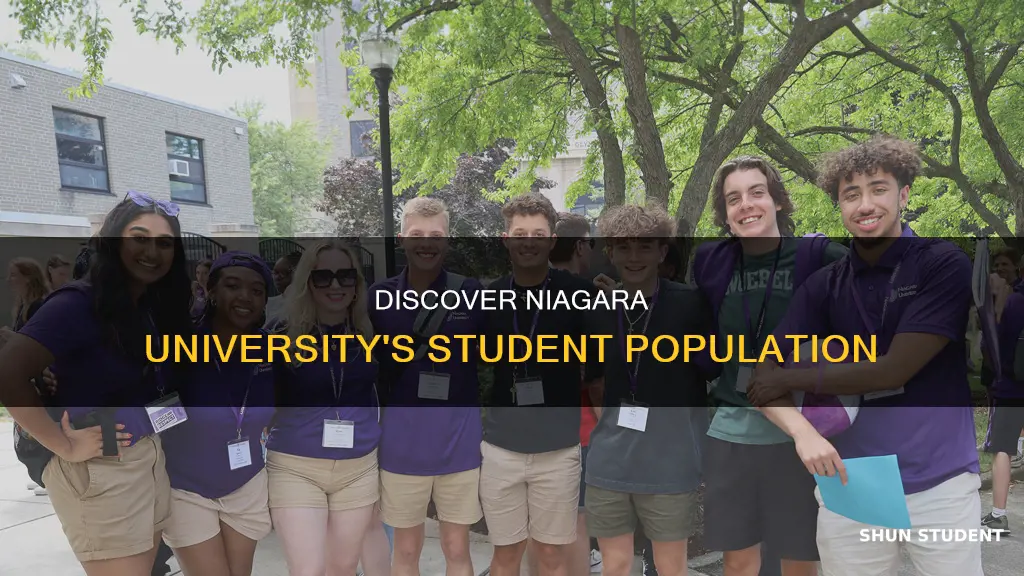 how many students at niagara university