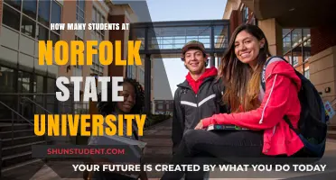 Norfolk State University: Unveiling Student Population Insights