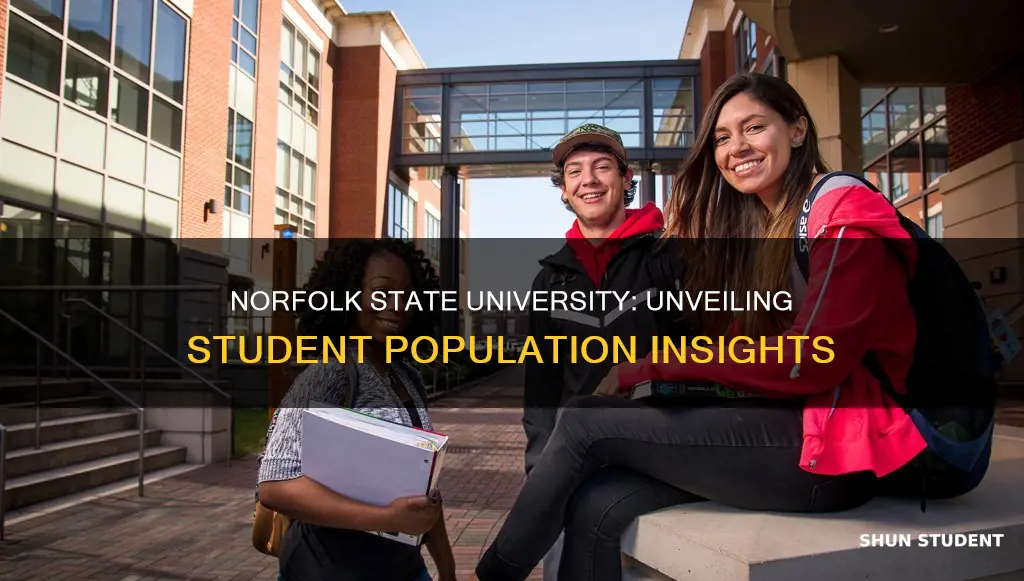 how many students at norfolk state university