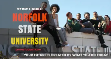 Exploring Norfolk State University's Student Population